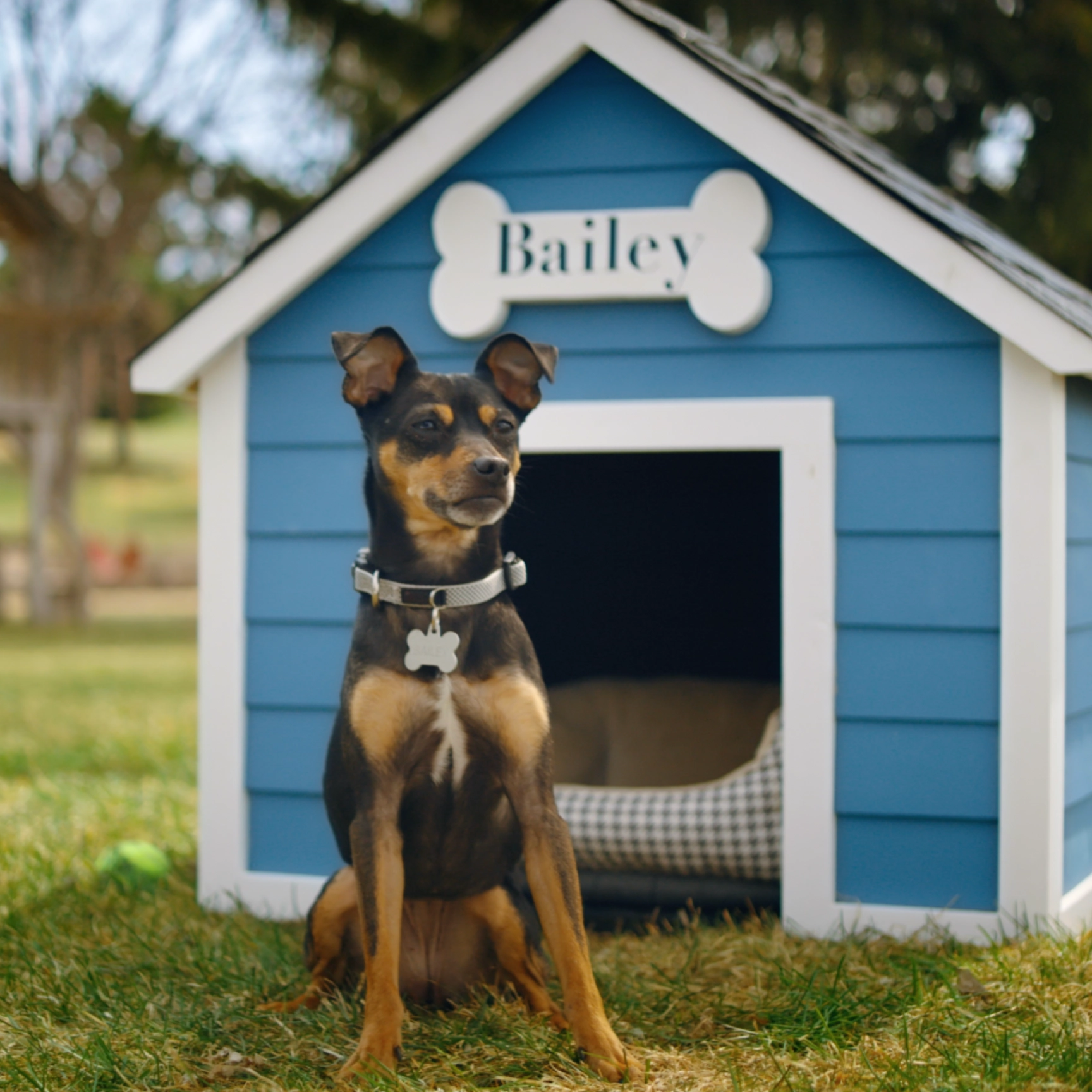  A home improvement company expands to new markets.