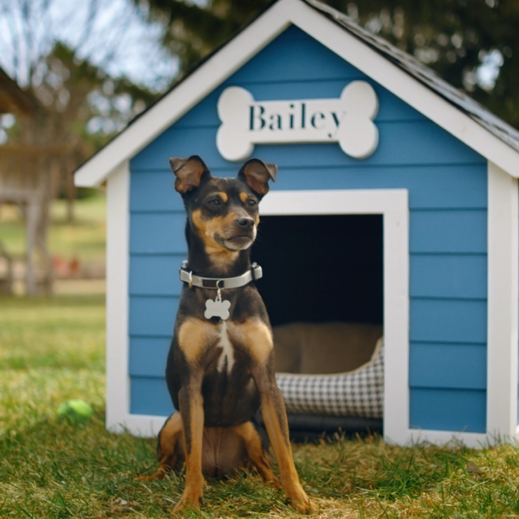 A home improvement company expands to new markets.